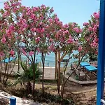 Sunsea Karaoz - Sulo *