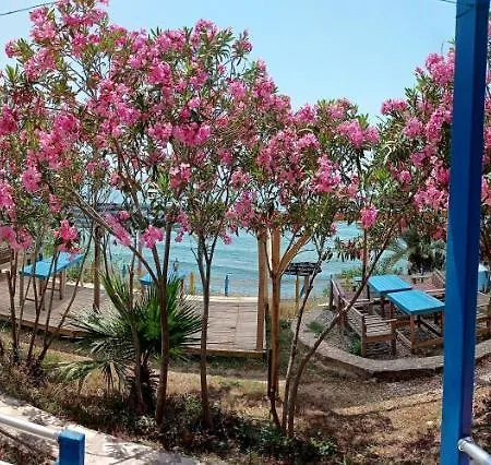 Sunsea Karaoz - Sulo *