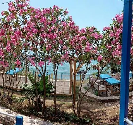 Sunsea Karaoz - Sulo *